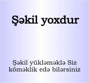 Şəkil yoxdur.jpg